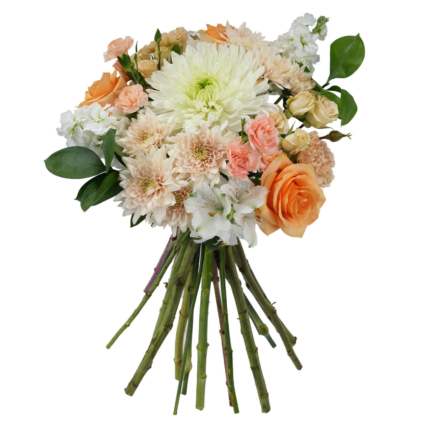 Bouquet: Soft Embrace
