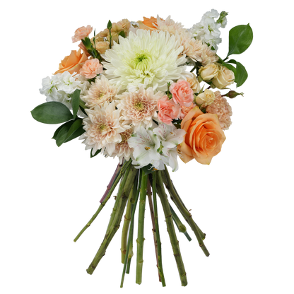 Bouquet: Soft Embrace