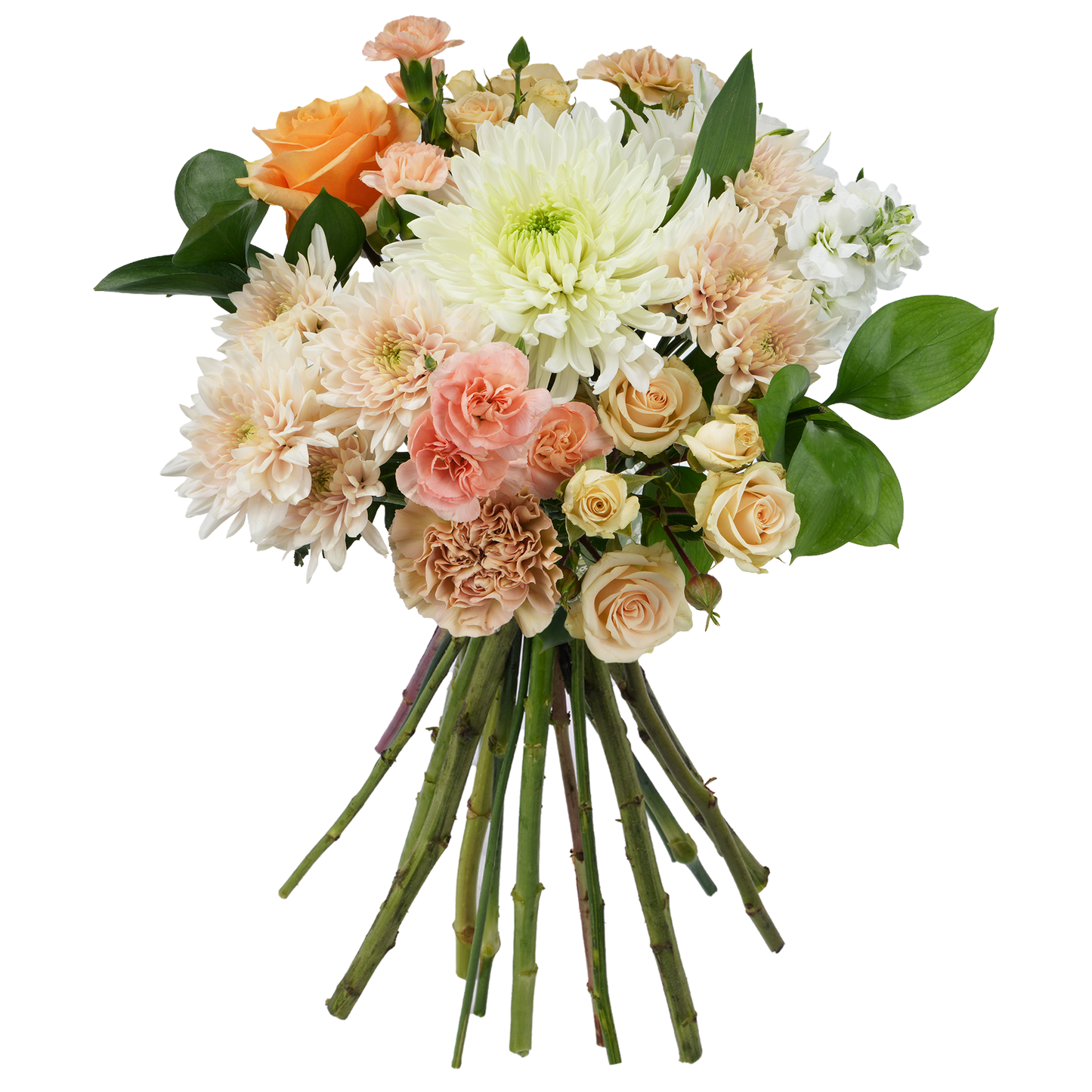 Bouquet: Soft Embrace
