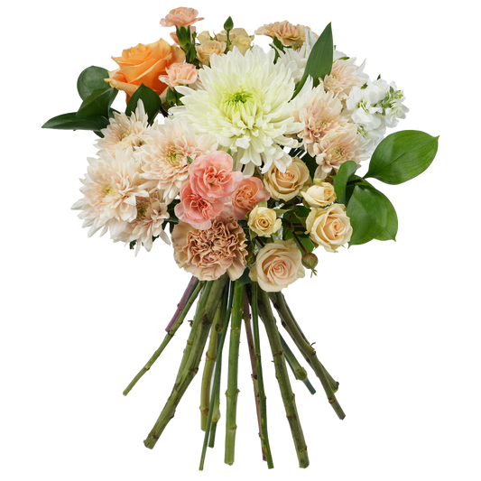 Bouquet: Soft Embrace