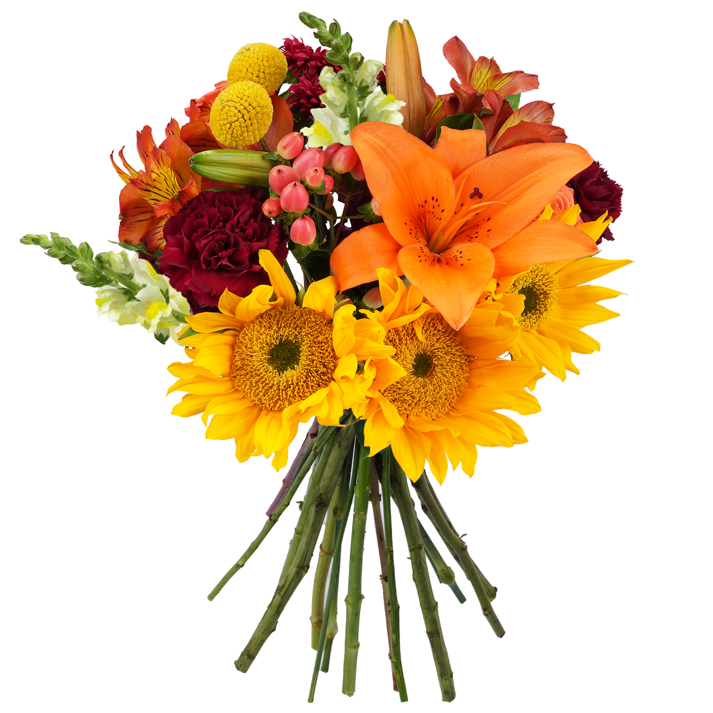 Bouquet: Sunlit ballad