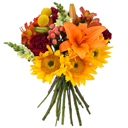 Bouquet: Sunlit ballad