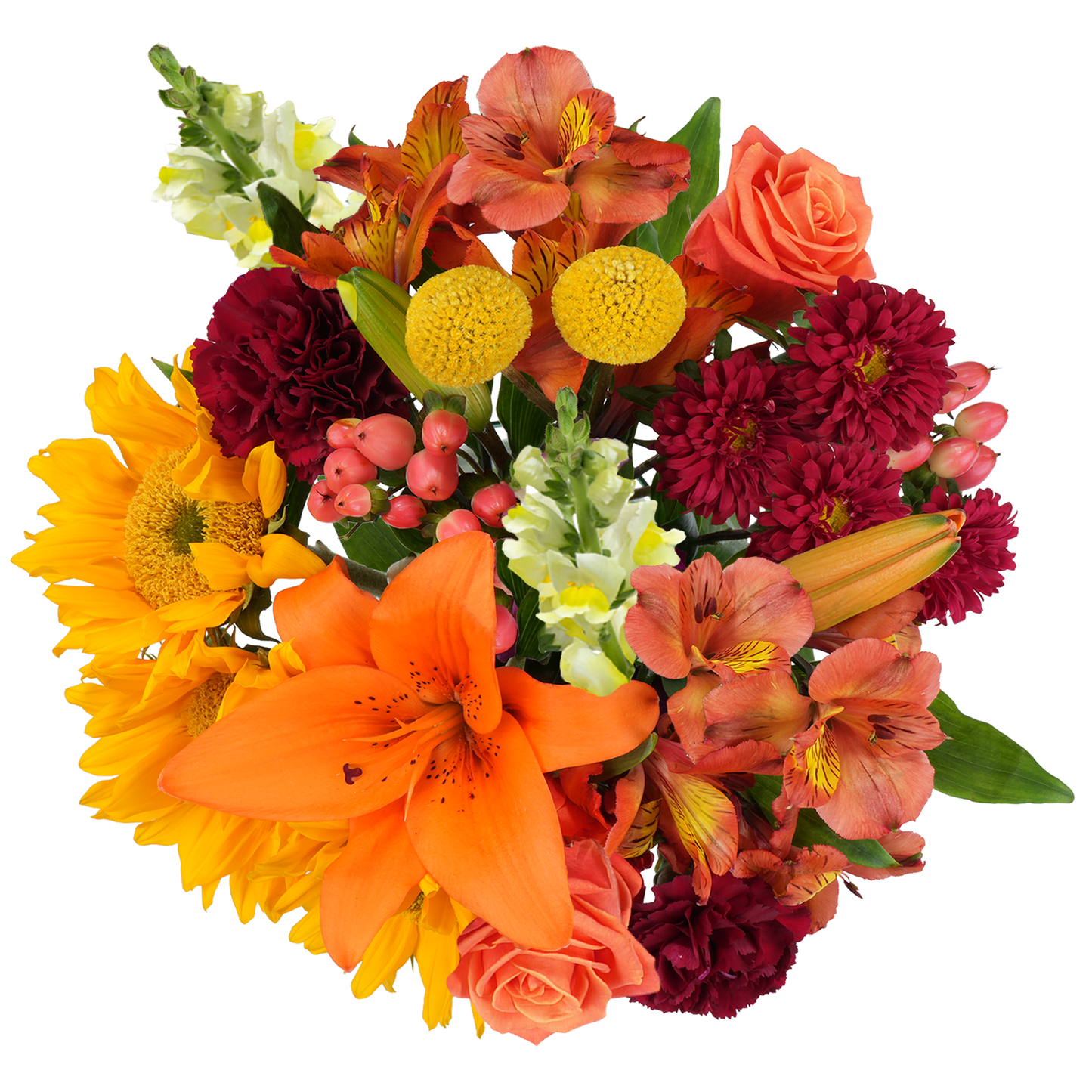 Bouquet: Sunlit ballad