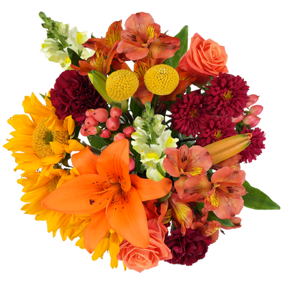 Bouquet: Sunlit ballad
