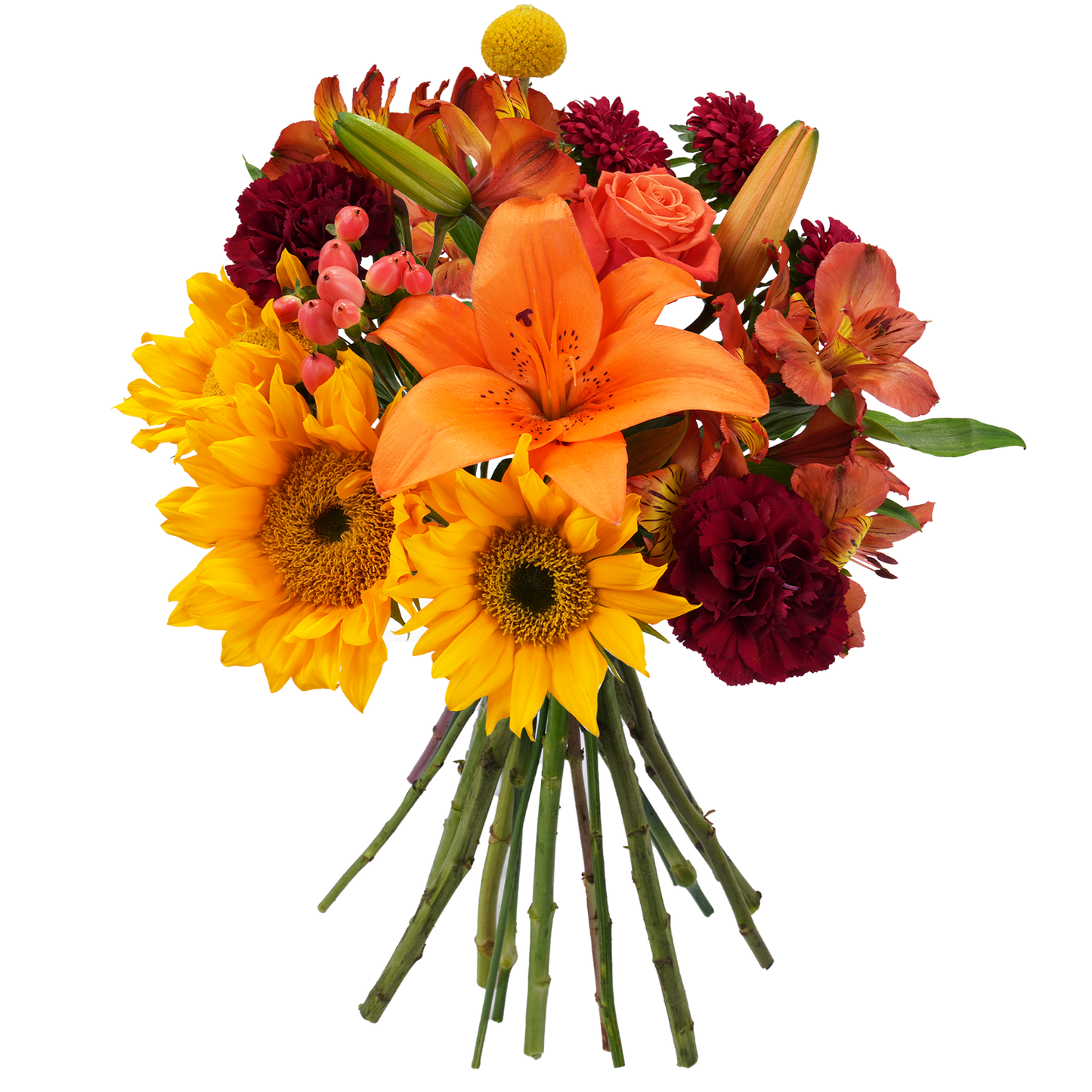 Bouquet: Sunlit ballad