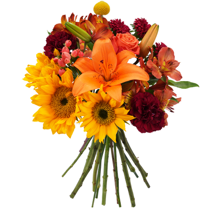 Bouquet: Sunlit ballad