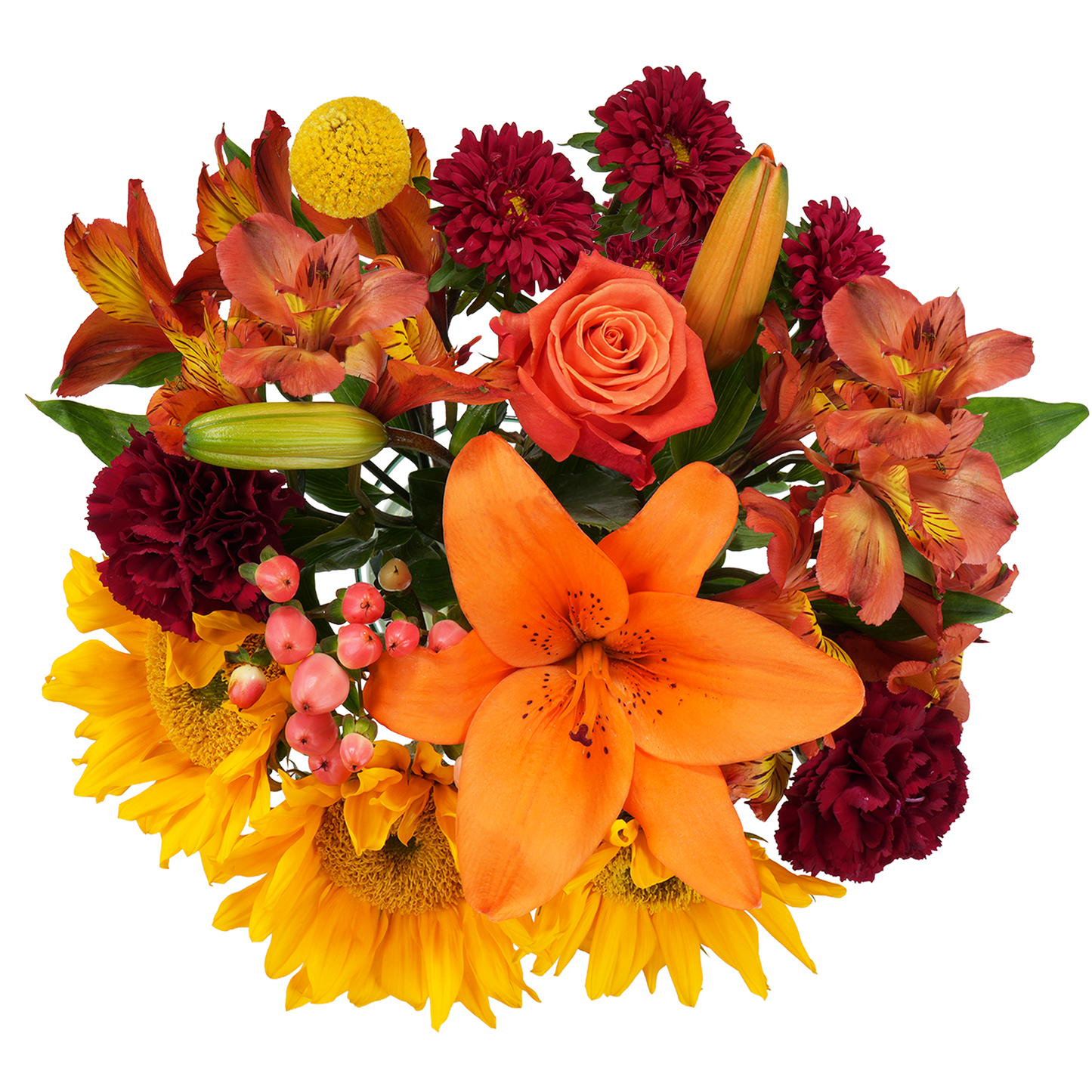 Bouquet: Sunlit ballad