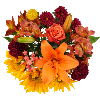 Bouquet: Sunlit ballad