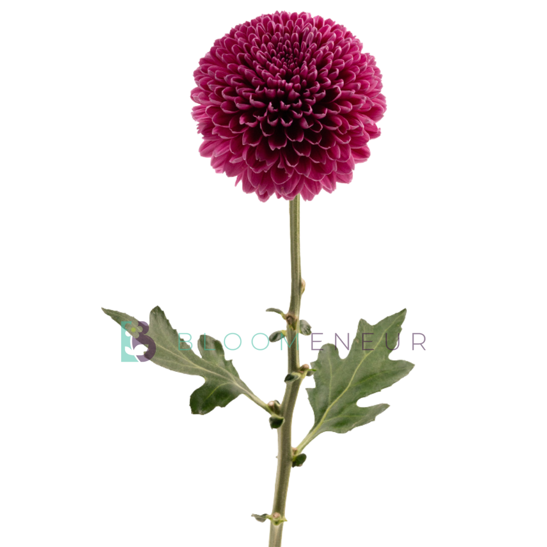 Bombon