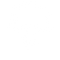 Silver Carnation