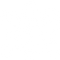 PLANTINIUM ORCHID