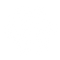 Golden Rose