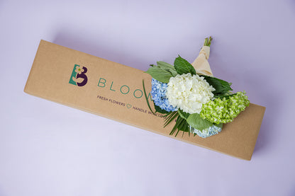 Hydrangeas Regular