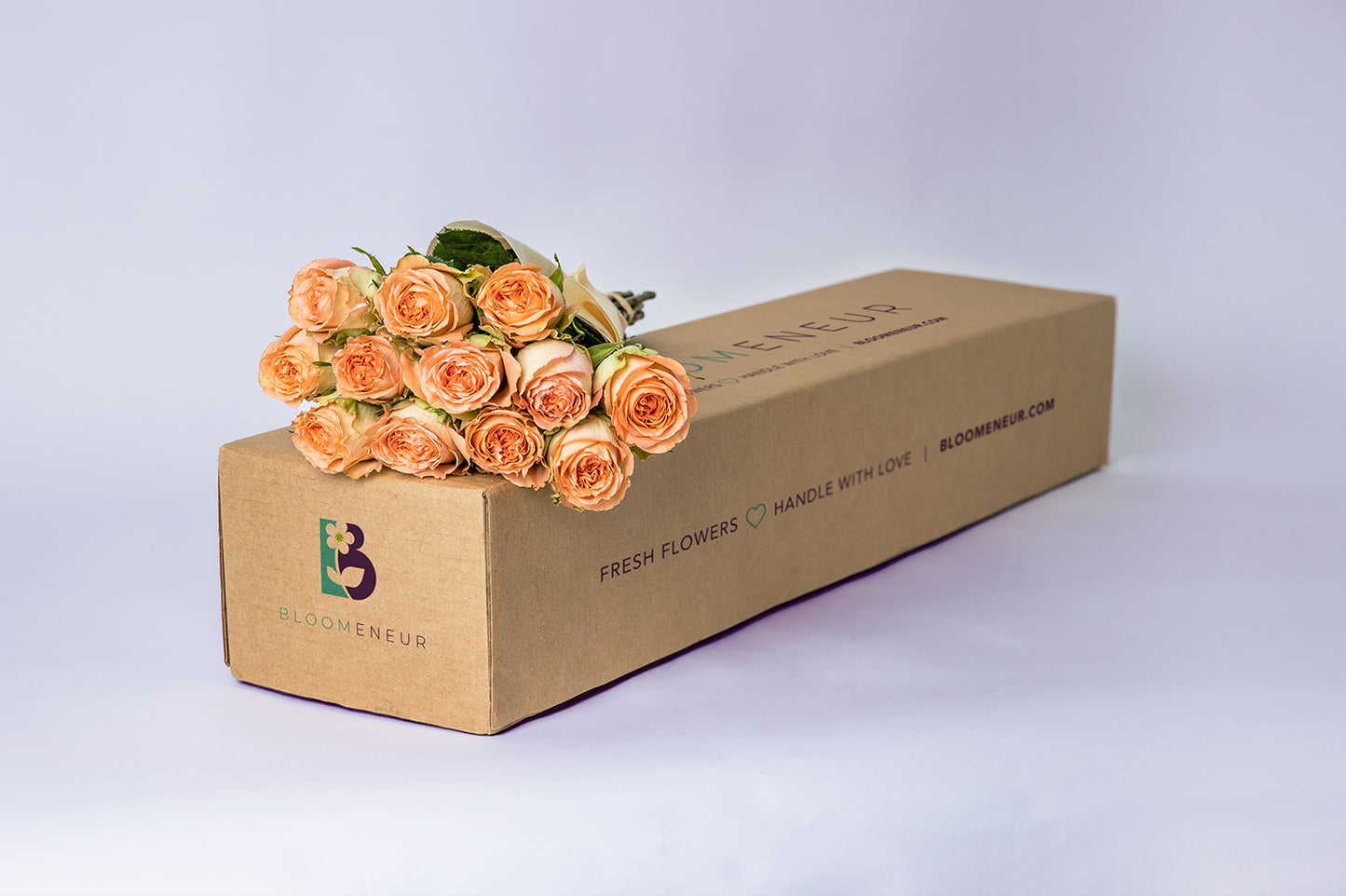 Orange - Rose